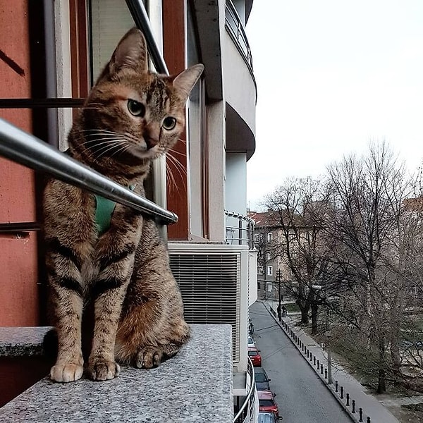 25. Пловдив, Болгария