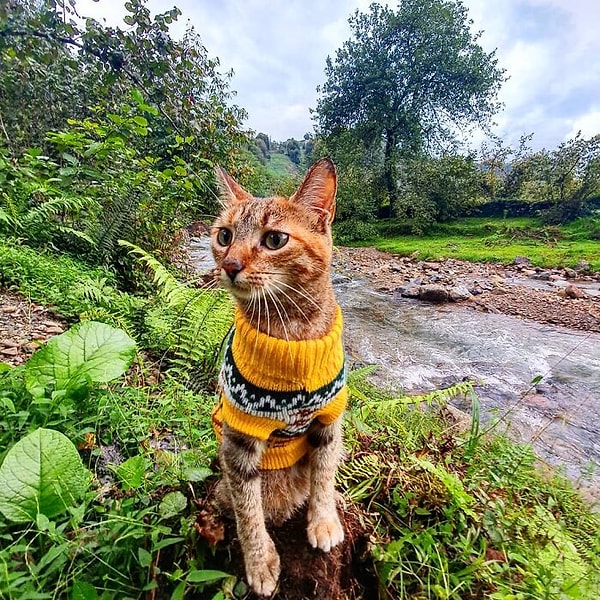 27. Тбилиси, Грузия