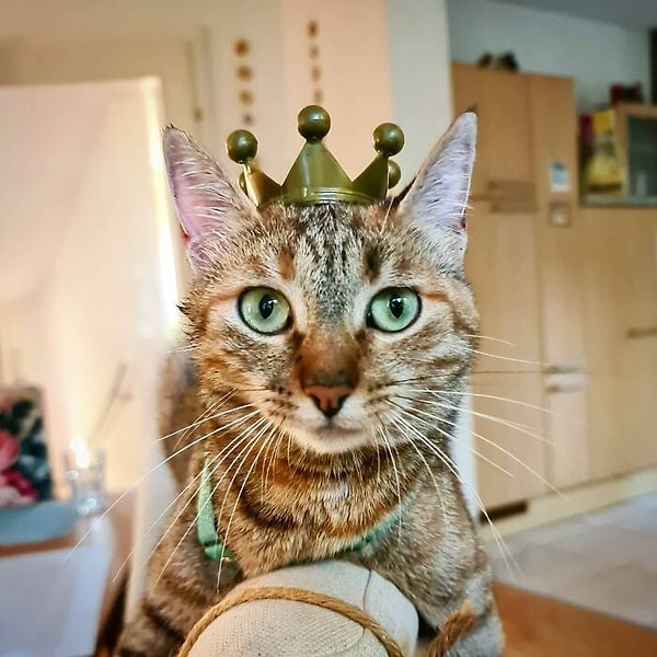 28. Габлиц, Австрия