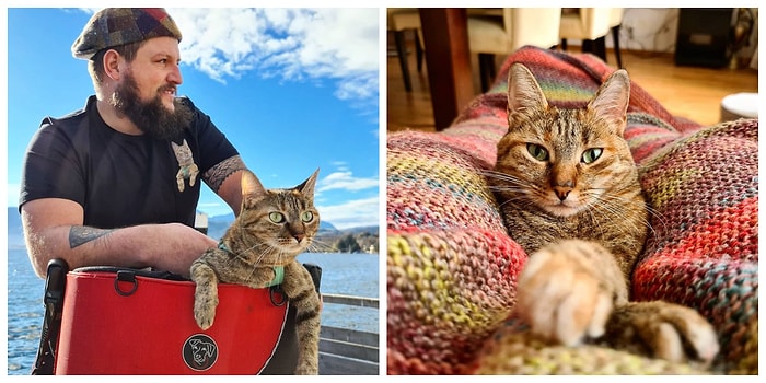 Шотландец в гордом одиночестве захотел объехать всю Европу на байке, но у полосатого бездомного кота были другие планы (30 фото)