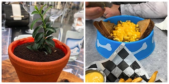 20 и еще 1 креативный шеф-повар, которые переплюнули всех в деле оригинальной сервировки блюд (хотя лучше бы не стоило)