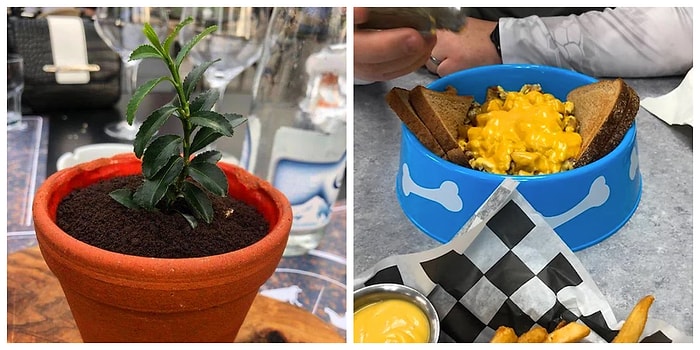 20 и еще 1 креативный шеф-повар, которые переплюнули всех в деле оригинальной сервировки блюд (хотя лучше бы не стоило)