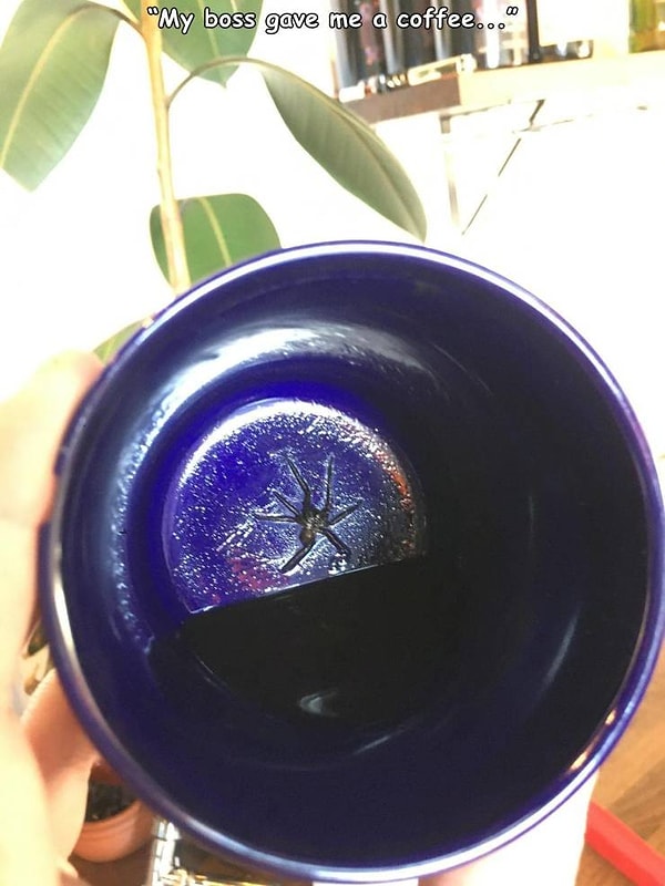 9. "Мой начальник угостил меня чашечкой кофе".
