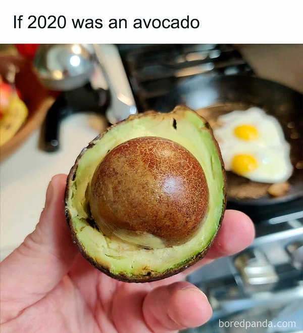 22. Если бы 2020 год был авокадо: