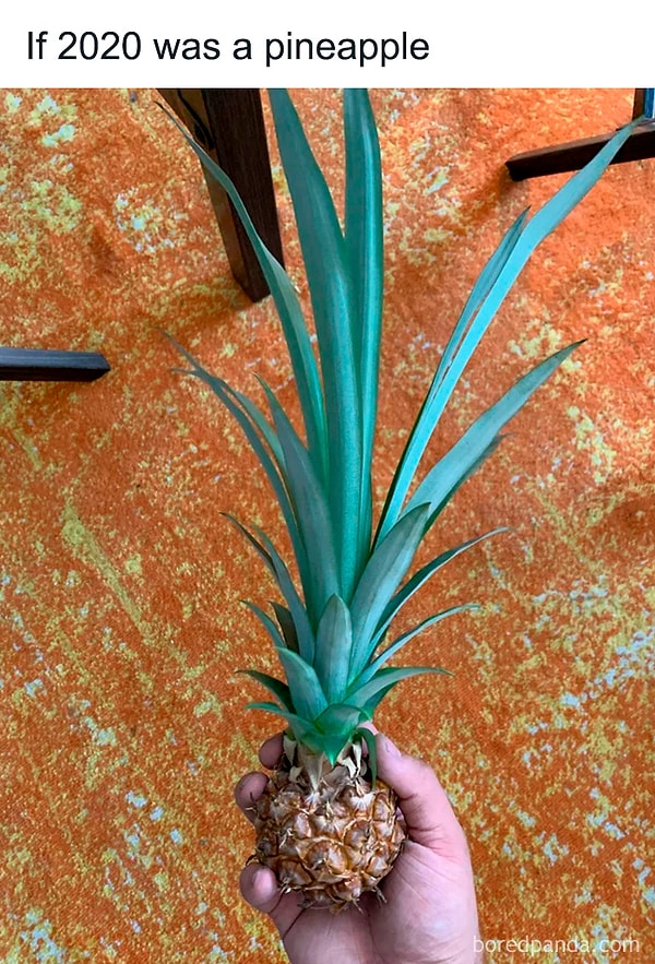 23. Если бы 2020 год был ананасом: