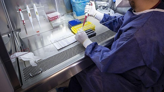 Prof. Taşova: 'Temastan 6 Gün Geçmeden Yapılan Testler Doğru Sonuç Vermez'