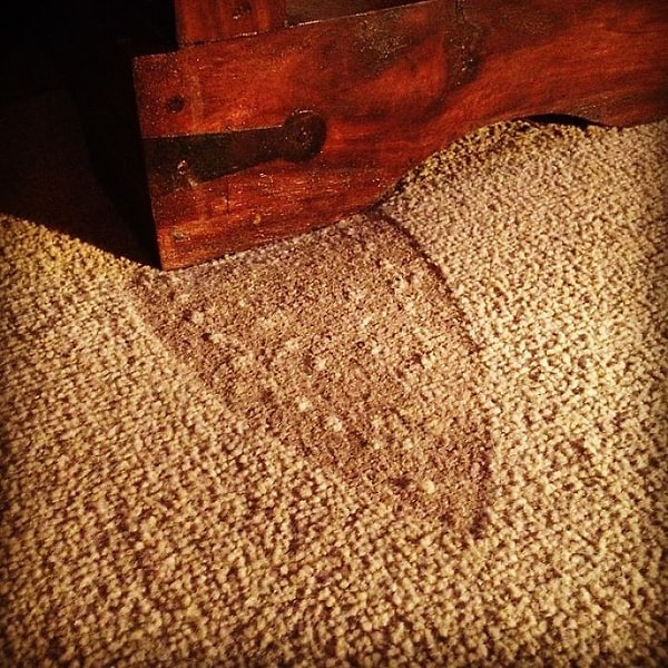 12. "Мой дом просто усеян доказательствами моей несостоятельности как домохозяйки".