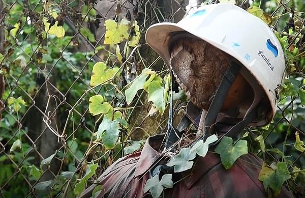 Virüsten korunmak için yapılan tipik korkuluklar bambu veya tahta çubuklardan oluşuyor ve bambulara eski kıyafetler giydiriliyor.