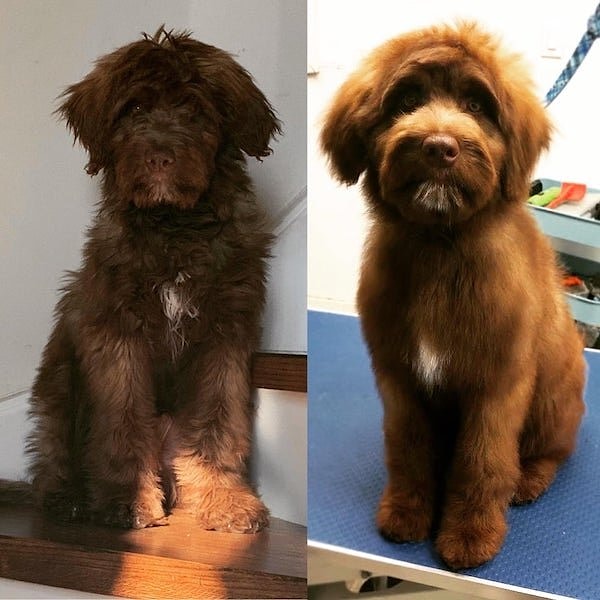 5. "До и после его первой стрижки"