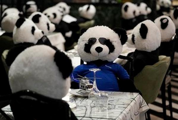 Restoranına yerleştirdiği oyuncak pandalara hizmet sunarak kısıtlamaları protesto etti.