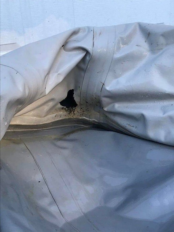 7. "Осталось 2 дня до начала отпуска, который мы долго планировали и очень ждали. И тут мы обнаруживаем, что мыши прогрызли дыру в нашей лодке".