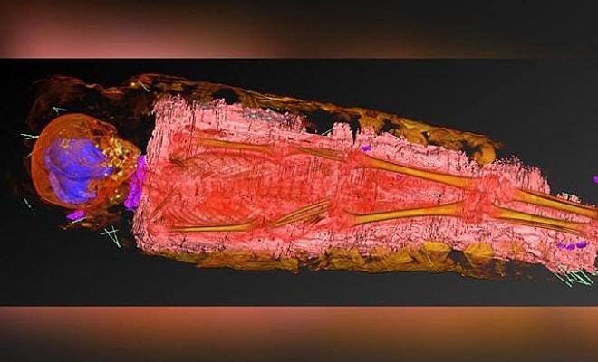 Antik Mısır Mumyasını X Işınıyla Tarayan Bilim İnsanlarını Şaşırtan Keşif