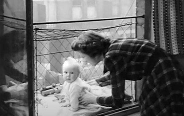 5. 1930'lu yıllarda Londra'daki ebeveynler çocuklarını camlara monte ettikleri kafeslere koyuyordu.