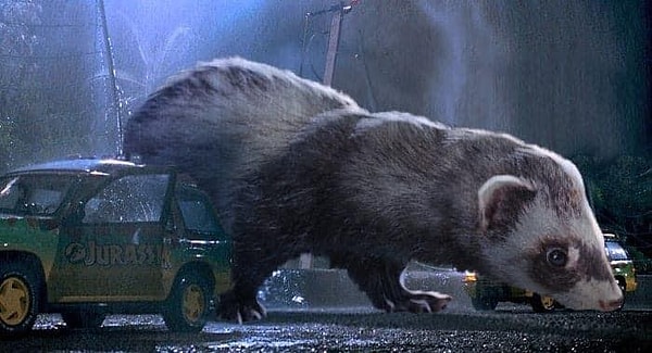 Пост получил более 50 тысяч лайков