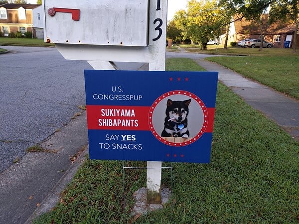 2. Трудно не отдать свой голос за такого милаху :)