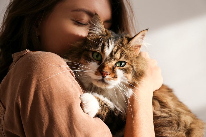 Kedi Alerjenleri Hakkında Gerçekten Ne Kadar Bilgilisin?