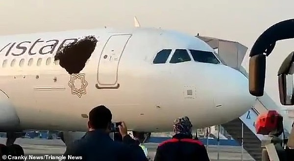 Рейс из аэропорта Калькутты в Дели был задержан на час в воскресенье вечером после того, как рой пчел приземлился на борт самолета, когда он ждал в ангаре перед посадкой.