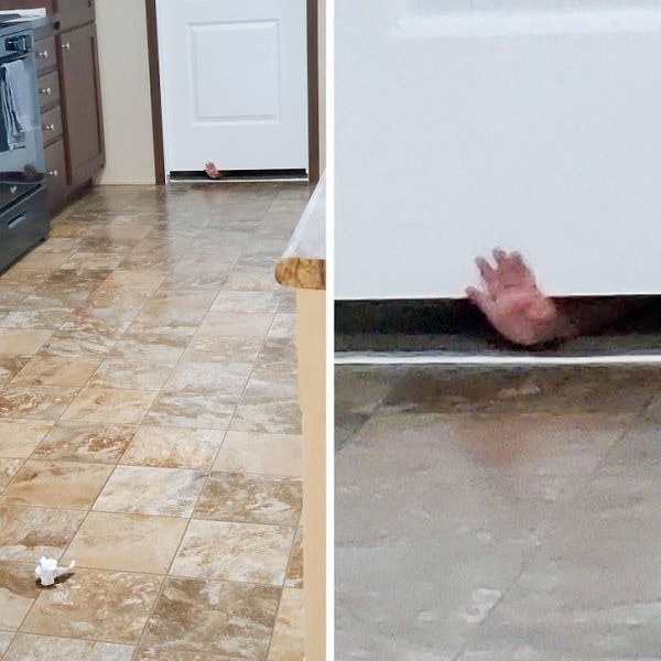 «Вместо того, чтобы просто сказать нам, что она проснулась, моя дочь подумала, что ей нужно помахать нам из-под двери, пока ей не удастся привлечет наше внимание».