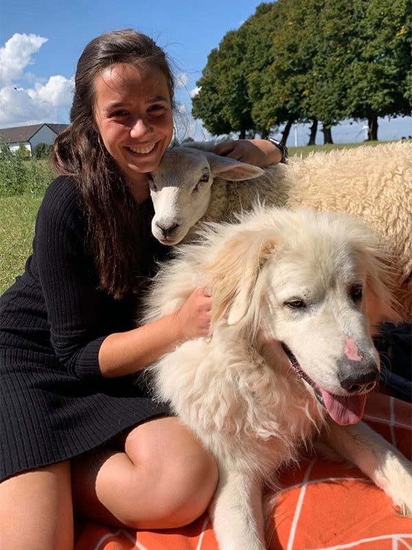 21. На каждой работе временами нужен перерыв на пикник.