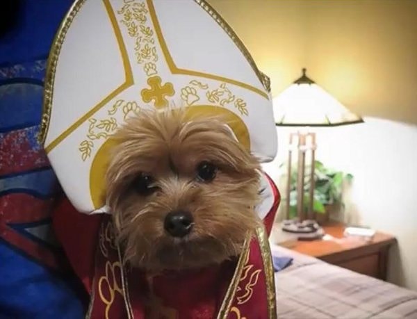 23. А почему бы и нет?)