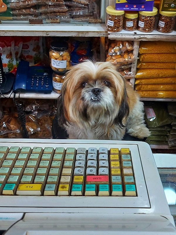 25. А это просто блондинка за кассой :)