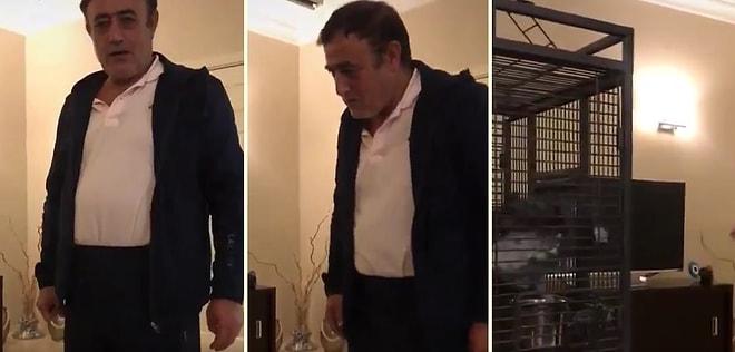 Mahmut Tuncer, Koronadan Dolayı Halay Çekecek Kimseyi Bulamayınca Papağanı ile Halay Çekti