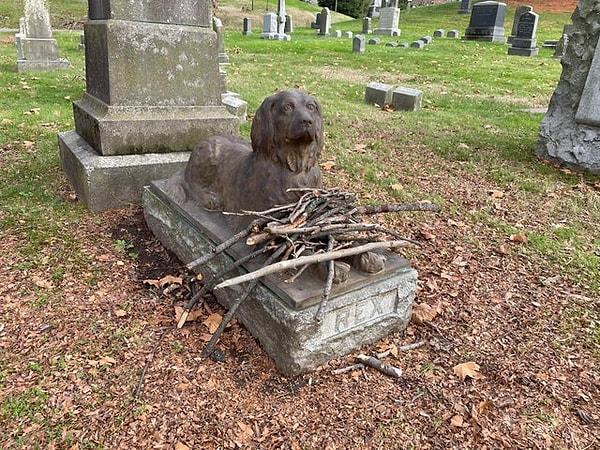 1. Bu köpeğin mezarına çiçek yerine kemik ya da oynamayı çok sevdiği ağaç dalları bırakılıyormuş...😢