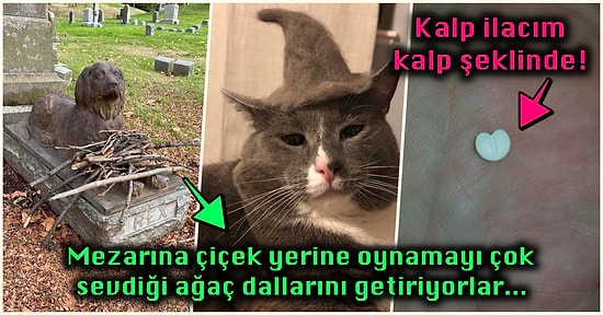 Hep Aynı Şeyleri Görmekten Sıkılanları İlginçliğe Doyuracak Birbirinden Acayip 15 Yeni Görsel