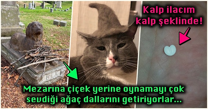 Hep Aynı Şeyleri Görmekten Sıkılanları İlginçliğe Doyuracak Birbirinden Acayip 15 Yeni Görsel