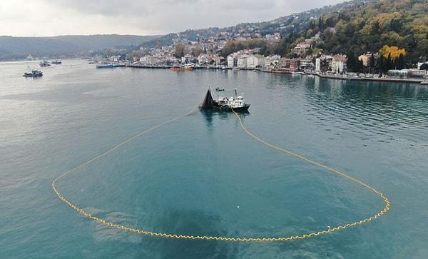 'İstanbul Boğazı balıkların göç noktasıdır'