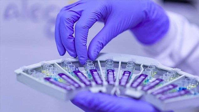 Araştırmaya katılan insanların %17,6'sı ise Alman yapımı BionTech & Pfizer aşısını olmak istediğini söyledi. %6,8'i ise Çin yapımı Sinovak aşısını olmak istediğini belirtti.