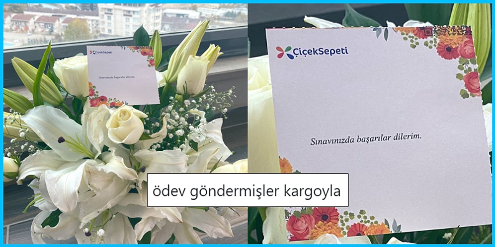 Günlük Hayatta Yaşadıkları veya Tanık Oldukları Olaylarla Yüzümüzü Güldürecek 17 Goygoycu