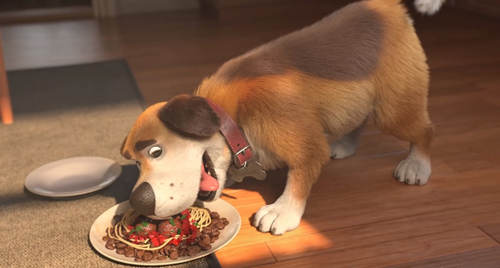 Yalnız Bir Kadın ile Evlat Edindiği Köpek Arasındaki Bağı Anlatan Animasyon: Poochini: A Love Story