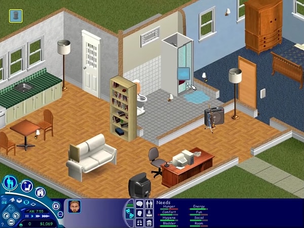 11. Sims