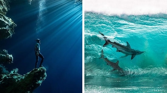 27 лучших фото с океаном от финалистов конкурса Ocean Photography Awards