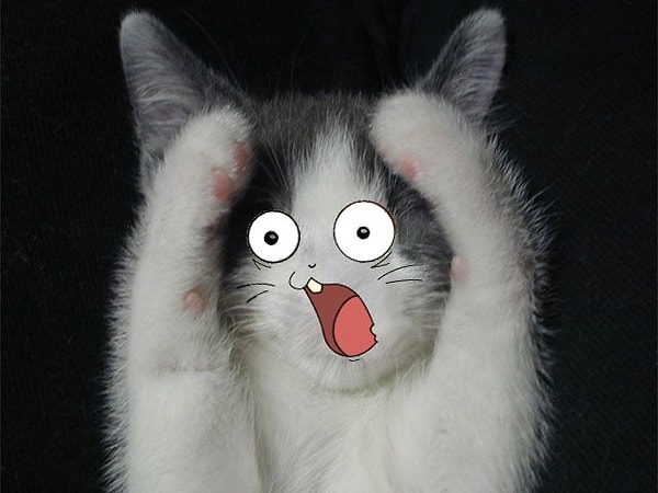 9. «Мой брат отсидел всего год, но его выпустили с парнем, который был в тюрьме 30+ лет. Он рассказывает историю о том, как ему приходилось объяснять другому парню что такое смартфон. «Представьте себе все, что хотите. Все, что вы хотите, и все, что хотите знать… теперь это у вас на телефоне». - ImsoAmerican