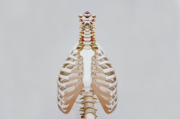 8. Ve son olarak, kemiklerinizin dayanıklılık seviyesi ciddi anlamda artacak...