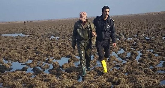 14 Yaban Ördeği Öldürdü: Kaçak Avlanan Öğretmene 16 Bin 657 Lira Ceza