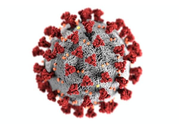 Koronavirüs hakkında her geçen gün yeni bir açıklama ve gelişme beklediğimiz günlerde bir açıklama da enfeksiyon hastalıkları uzmanı Dr. Defa Grayson'dan geldi.