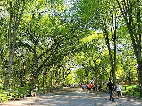 Dizi ve filmlerden alışık olduğumuz Central Park örneğin, gökdelenlerle çepeçevre New York'ta insanın huzur bulabileceği tek yer.