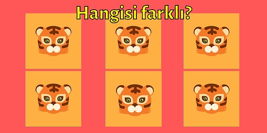 Bu Testi Sadece Gözlük Kullanmayanlar Geçebiliyor!