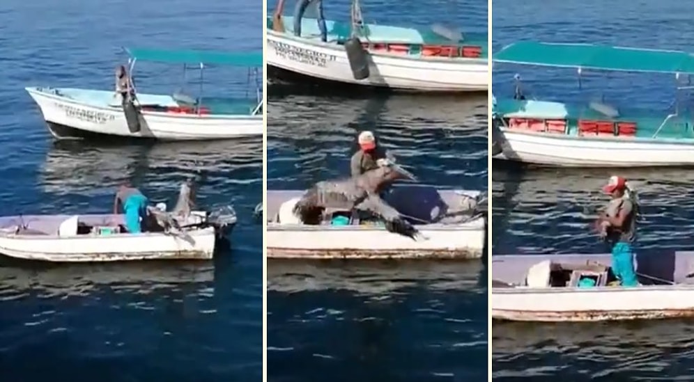 Kayığa Konan Leyleği Kucağına Alıp Sarılan Koca Yürekli İnsan