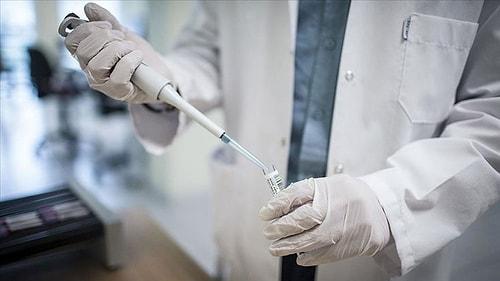 Bilim Kurulu Üyesi Kayıpmaz: Aşılar Evde De Uygulanabilir