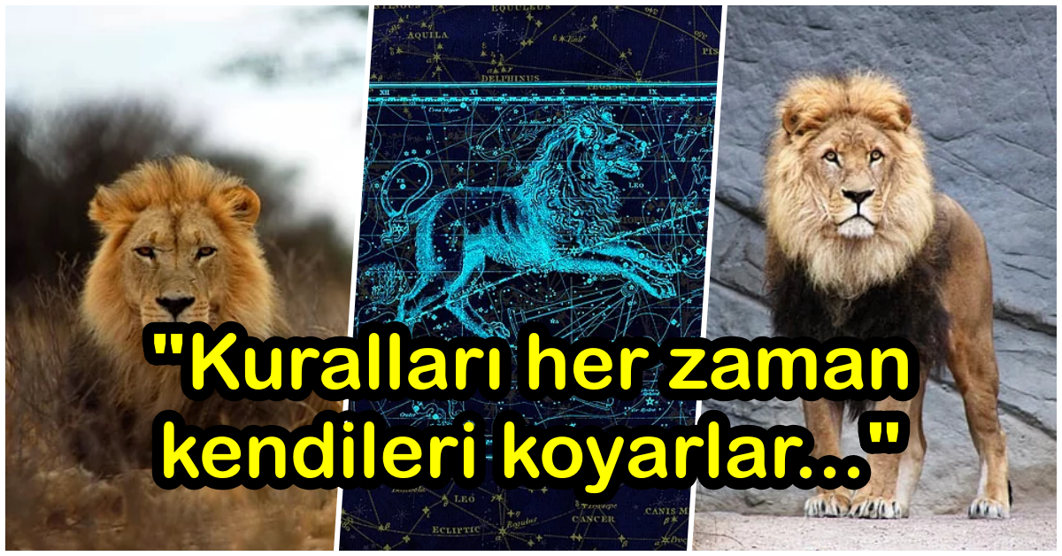 Aslan Burcu 101! Hayatınızdaki Aslan Burcu Kişiler Hakkında Bilmeniz