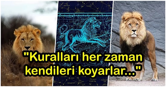 Aslan Burcu 101! Hayatınızdaki Aslan Burcu Kişiler Hakkında Bilmeniz Gereken Önemli 27 Bilgi