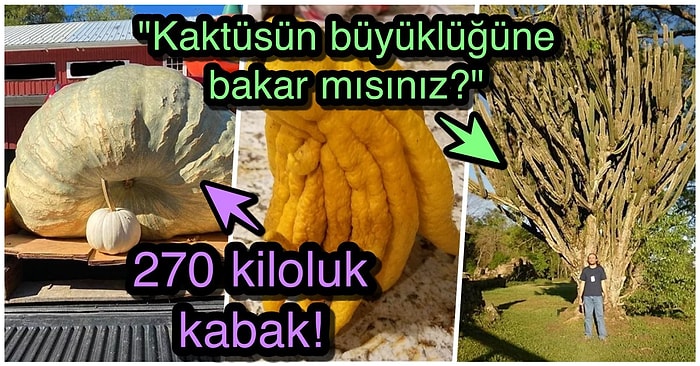 Çok Az İnsanın Ömrü Hayatı Boyunca Denk Gelerek Şahit Olabildiği Birbirinden İlginç 25 Şey