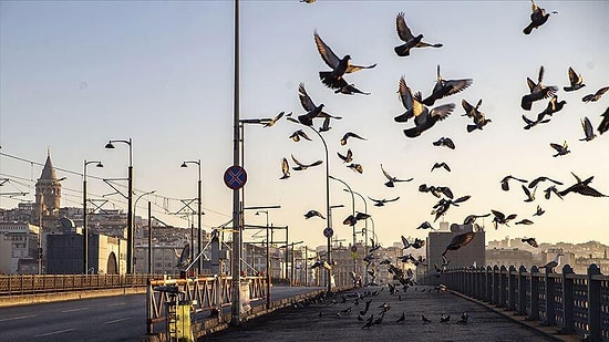 Sokağa Çıkma Yasağı Cezası Ne Kadar, Kaç TL? Sokağa Çıkma Yasağından Kimler Muaf?