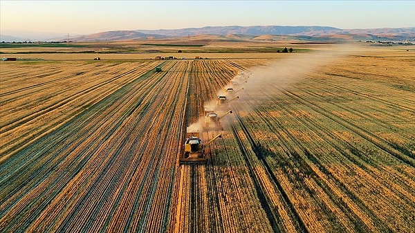 "Ülkenin yüzde 80'inde meteorolojik kuraklık var"