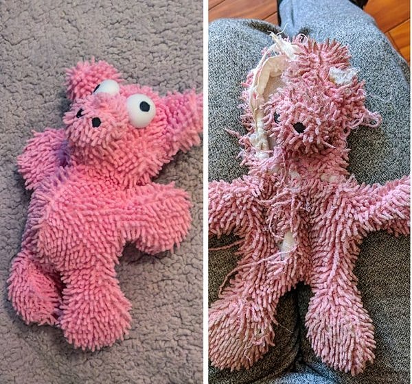 "Кажется, этой свинье пришлось нелегко. Но для щенка это были веселые времена и игры".