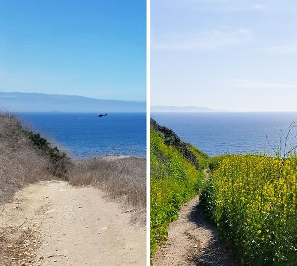 «Южная Калифорния до и после дождливой зимы»